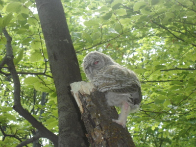 DSC00708